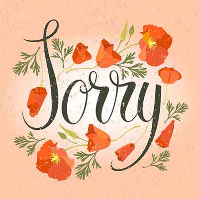 Sorry Greeting Card 4×6 inch