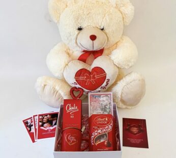 Charming cute teddy gift for wife with tasty chocolates, perfume and greetings