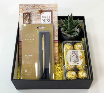 The Classic Corporate Gift Box for new year With Office Supplies, Live Succulent, And Chocolates