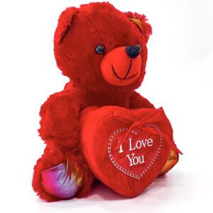 Valentines Day Teddy bear