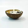 Coconut shell spices candle