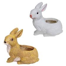 Rabbit pot 