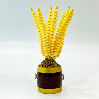 Traditional Vishu Kani Nirapara with Pookula Decorations