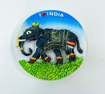 3 Pcs of Indian elephant fridge magnet with a height of 2 3/4 inches and a width of 2 3/4 inches