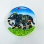 Elephant Fridge Magnet
