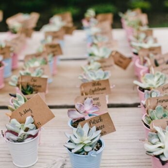 vintage style pot with indoor plant for wedding return gift ideas (30 pcs)
