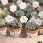 Wedding return gift Plants