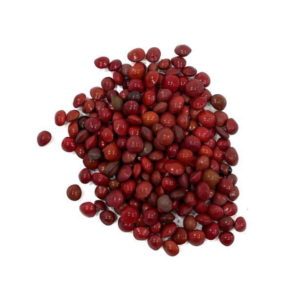 Manjadi Kuru (Red Lucky seeds) for Vishu Kani decorations and Home Decor (100 g) - Image 2