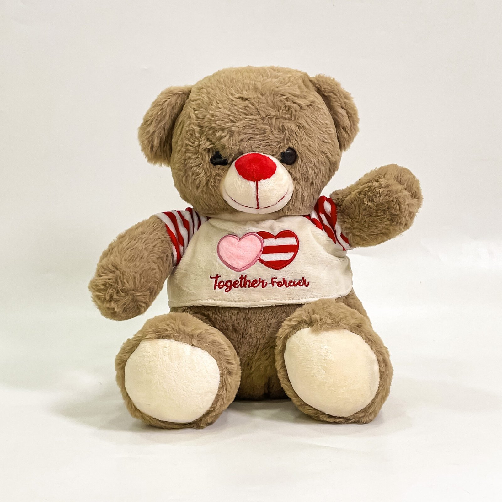 light brown Soft Teddy