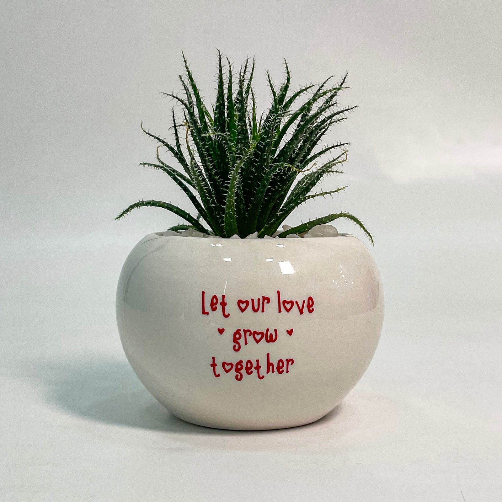 Custom Plant With Pot