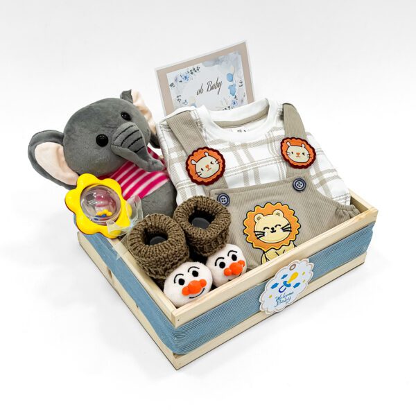 Newborn Baby Gift Box – Soft Toy, Baby Shoes, Rattle & Essentials