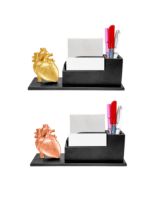 Doctor's Desk Organizer