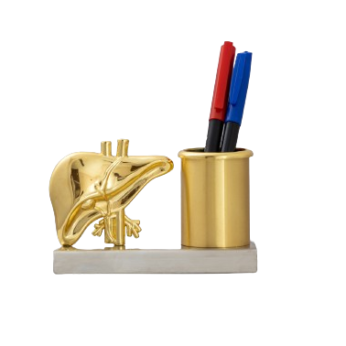 Pen Stand with Golden Liver – Doctor’s Desk Organizer for Hepatologists and Medical Professionals