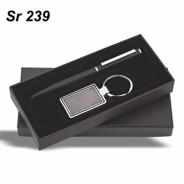Stylish Pen & Keychain Gift Set