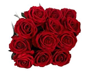 red roses