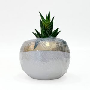 White and golden Plant with pot 