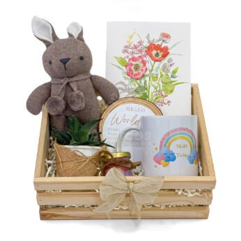 Elegant Mom-to-Be Gift Tray with Mug ,Candle, Toy & Plant