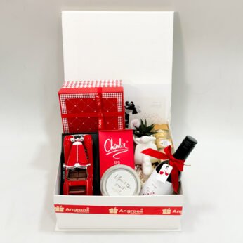 Valentines Day Surprise Box with Mini Wine and Gifts